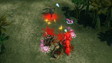 ꡼ No.012Υͥ / ֥ ҡ 饤סѲȤΡ֥㥫פȰŻԡ֥饤ǥפ򿷥ҡȤ