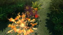 ꡼ No.021 | ֥ ҡ 饤4ҡΥϥ󥢥Х8о