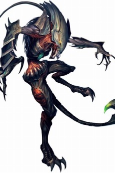 ꡼ No.007Υͥ / ֥ ҡ 饤פοҡϡѤԤȯȡ֥ʡפȰ۷Ῡԡ֥ͥѥ塼