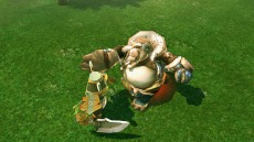 ꡼ No.005Υͥ / ֥ҡ饤סԻෳοҡ֥饦֡פˡϤʥοŨοʷ˸褦