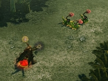 ������ �ҡ������� ����饤��