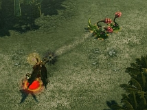 ������ �ҡ������� ����饤��