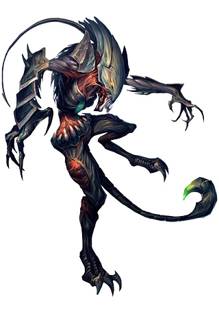 #001Υͥ/֥ ҡ 饤ץ饯⡧ͥѥ塼