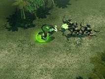 #004Υͥ/֥ ҡ 饤ץ饯⡧ͥѥ塼