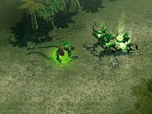 #005Υͥ/֥ ҡ 饤ץ饯⡧ͥѥ塼