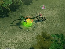 #010Υͥ/֥ ҡ 饤ץ饯⡧ͥѥ塼