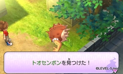 ꡼ No.020Υͥ / ŲåפȤʤȺĮɤǵ륤٥ȤƼߤҲͧãˤʤäŲǤ륢ƥξ