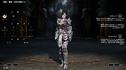 ���������꡼ No.005�Υ���ͥ������ / ����MMORPG��BLESS�פǼ»ܤ��줿CBT2�Υ���ץ�å�����Ǻܡ��ǹ����Υ���ե��å�����������벦ƻMMORPG���θ�