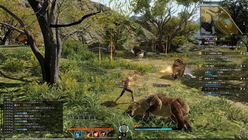 ���������꡼ No.029�Υ���ͥ������ / ����MMORPG��BLESS�פǼ»ܤ��줿CBT2�Υ���ץ�å�����Ǻܡ��ǹ����Υ���ե��å�����������벦ƻMMORPG���θ�