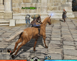 ���������꡼ No.035�Υ���ͥ������ / ����MMORPG��BLESS�פǼ»ܤ��줿CBT2�Υ���ץ�å�����Ǻܡ��ǹ����Υ���ե��å�����������벦ƻMMORPG���θ�