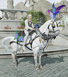 ꡼ No.010 | BLESSס[ƤȲ]ѥҡסʸȾˤ֥˥顦ȥꥹפΡ־פޤǿåץǡȡּؿȱ겦פ