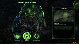 ꡼ No.011 | StarCraft IIHeart of the Swarmסץ˥󥰤俷˥åȾҲʤɤΥࡼӡ