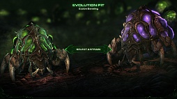 ꡼ No.012 | StarCraft IIHeart of the Swarmסץ˥󥰤俷˥åȾҲʤɤΥࡼӡ