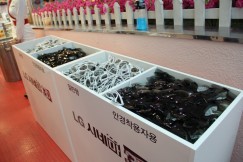 ꡼ No.014 | Ωλ륳ƥĲꡣڹLGPR٥ȡ3D World Festivalפǡä̤ΥƥӤ򸫳ؤƤ