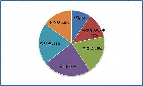 画像ギャラリー No.006のサムネイル画像 / 「Natal Online」,CBTのプレイデータの一部と,次回に向けてのプランを発表