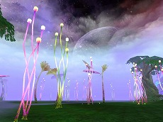 ꡼ No.001 | Natal Online ʥ륪饤1st UPDATEֺưפ2ܤ˼»ܡꥢ֥åɡפξߥȤǥå