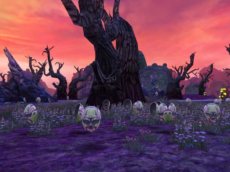 ꡼ No.002 | Natal OnlineץåץǡȡϵӬפ426˼»ܡߥȥץǰڡ󤬳