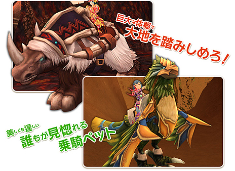 ꡼ No.009 | Natal Online ʥ륪饤פΡ5th UPADATEسäλ١פ»ܡ饹16/Ʈβǽʥѡȥʡ֥եפʤɤɲä