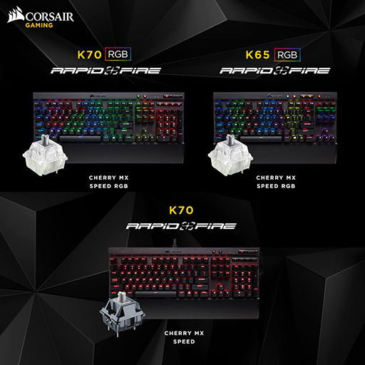 奨ݥ1.2mmι®бåCherry MX Speedо졣CorsairܥܡɡRAPIDFIREפŸ