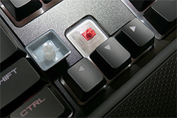 ���������꡼ No.014�Υ���ͥ������ / Corsair����ȯ��ͽ��Υ����ޡ��������յ��郎�������Ϫ�����ܤΥ磻��쥹���磻�䡼��ξ�б��ޥ�����5��ʹߤ�ȯ��ͽ��