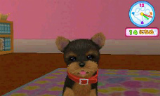 ���������꡼ No.006�Υ���ͥ������ / �ڥåȰ������ߥ�졼�����֤��襤���Ƹ�3D�פ�12��15��ȯ�䡣�ߥ˥��奢���å����ե�ɤ�ȥ��ס��ɥ�ʤ�12����Ȱ���ͷ�٤�