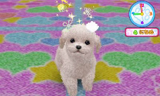 ���������꡼ No.009�Υ���ͥ������ / �ڥåȰ������ߥ�졼�����֤��襤���Ƹ�3D�פ�12��15��ȯ�䡣�ߥ˥��奢���å����ե�ɤ�ȥ��ס��ɥ�ʤ�12����Ȱ���ͷ�٤�