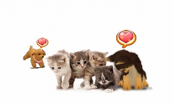 ���������꡼ No.007�Υ���ͥ������ / �֤��襤���Ƹ�3D�׸��������Ȥ�19���˥����ץ��о츤��ʤɤ�������