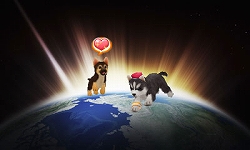 ���������꡼ No.008�Υ���ͥ������ / �֤��襤���Ƹ�3D�׸��������Ȥ�19���˥����ץ��о츤��ʤɤ�������