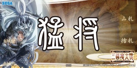 ���������꡼ No.002�Υ���ͥ������ / �ֻ��������TCG�ס����ƶȤؤ�ƻ�ɷ辡���ξܺ٤�ȯɽ��