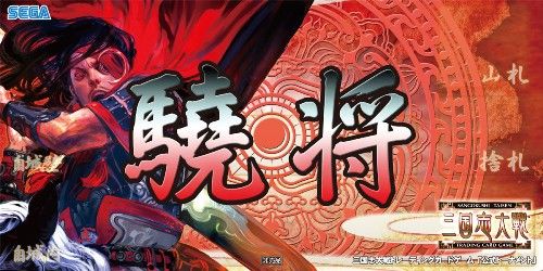 画像ギャラリー No.004のサムネイル画像 / 「三国志大戦TCG」，公式イベント「TCGの宴2013in大阪」が10月5日に開催