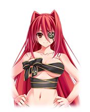 ꡼ No.006Υͥ / Webʥȥ˥Х롪ס֥˥ꥺࡦƥåȡץ2Ƥ򳫻