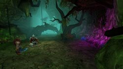 ���������꡼ No.009�Υ���ͥ������ / �ֶ˸� -AURORA-�פΥ��������ɦ¥ƥ��Ȥ��������ȡ�500̾ʬ�Υƥ������ɲ��罸�����������ȤǼ»ܤ�