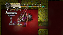 ꡼ No.013 | µϩ쥬סץ餸ڥ㥹Ȥ򥳥դǾҲ𡣥δΤȤʤȥʥե졼ɤξ