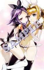 ꡼ No.003 | µϩ쥬סŹ̤ιŵ