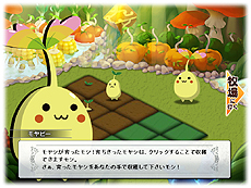 ꡼ No.039 | µϩ쥬סʤθΩ־ιסǡϩõסƥ˥å䥲ȥ饯ɲþ