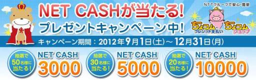 ���������꡼ No.001�Υ���ͥ������ / NET CASH�Υץ쥼��ȥ����ڡ��󤬡֤��祳�ॷ��åס׸���Ǽ»�