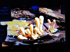 ꡼ No.001Υͥ / E3 2012ϡThe Last of Usפ䥹ȡ꡼餫ˡͤ˽ζब˴ؤƳ