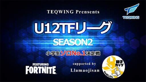 ���������꡼ No.003�Υ���ͥ������ / �ץ�e���ݡ��ĥ������TEQWING eSports�ס�U12TWFN�Υ����ԥ���٥�Ȥ�����