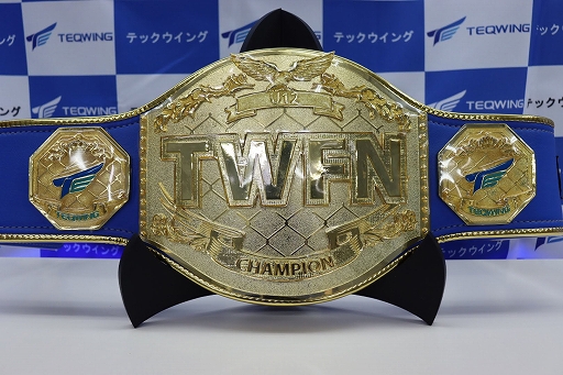 ���������꡼ No.001�Υ���ͥ������ / TEQWING e-Sports���֥ե����ȥʥ��ȡפξ��������¡�U12TWFN�ɤΥ����ԥ���٥�ȼ�Ϳ������