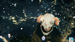 ���������꡼ No.003�Υ���ͥ������ / ���Ÿ��դ���ΥС������饤�֤�Ƥӳڤ���롣2020ǯ�ˡ֥ե����ȥʥ��ȡ���ǳ��Ť��줿���餬YouTube�ǥե����