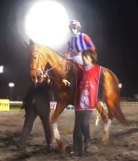 ꡼ No.004Υͥ / Winning Post 7 2012פPC/PS3/PSPǯо졣PCǤ2012ǯ217PS3/PSPǤ315ȯ