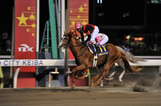 画像ギャラリー No.003のサムネイル画像 / 「ガンスリンガー ストラトス」が稼働1周年を記念して大井競馬場とコラボ