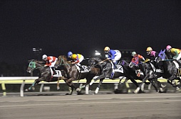 ꡼ No.007 | ĲवͽۤŪ桪֥󥹥󥬡 ȥȥפƥϤΥܥ٥Ȥݡ