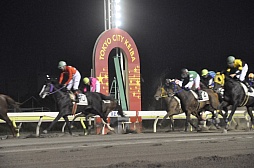 ꡼ No.008 | ĲवͽۤŪ桪֥󥹥󥬡 ȥȥפƥϤΥܥ٥Ȥݡ