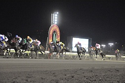 ꡼ No.012 | ĲवͽۤŪ桪֥󥹥󥬡 ȥȥפƥϤΥܥ٥Ȥݡ