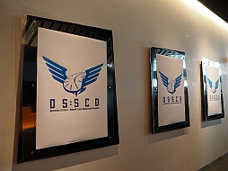 ꡼ No.011 | ֥󥹥󥬡 ȥȥ絬ϥ٥ȡ֥ȥȥեƥХ롪פݡȡ˥ȡ˥饤֡ơ2פκǿ2000ͤʨ