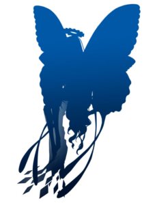 ꡼ No.005Υͥ / ͳ¿εספȯǰ񥤥٥Ȥ726282ֳšפξܺپʤɤ