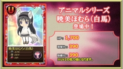 ꡼ No.020Υͥ / ֤ޤɤޥ 饤סȷǥ쥢ɡɤǤ󥭥ڡ󤬳