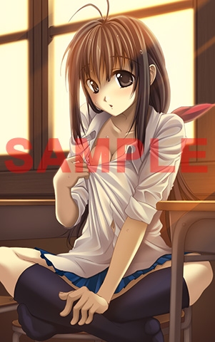 ꡼ No.004 | ʤ뤫 ϥ륳̾βˡŹ̹ŵ饹Ȥ