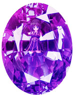 ꡼ No.012 | ʤ뤫 -ϥ륳̾β-ɲåߥå1ơ3Ƥ628缡ۿԤΥåץǡȥǡо